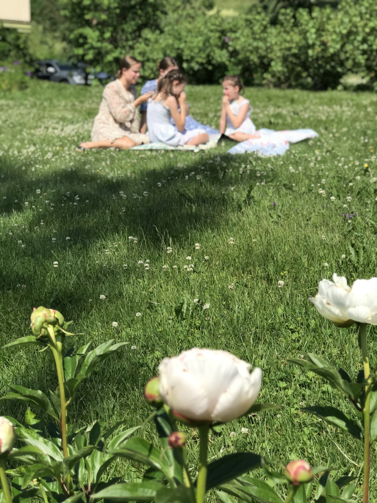 Bring a blanket and have a picnic in the garden at&nbsp;Aulestad. Photo: Aulestad


